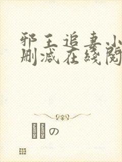 邪王追妻小说无删减在线阅读