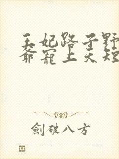 王妃路子野,王爷宠上天短剧