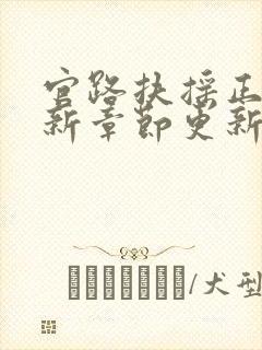 官路扶摇正版最新章节更新列表