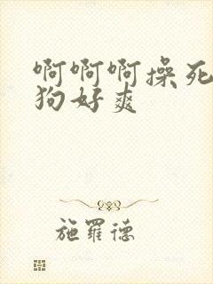 啊啊啊操死你母狗好爽