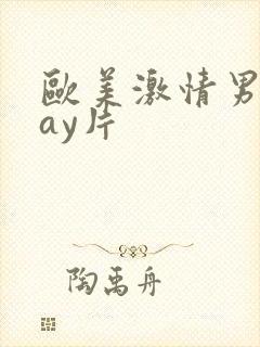 欧美激情男男gay片封面