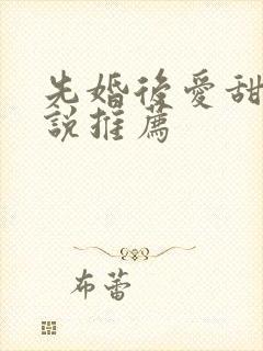 先婚后爱甜宠小说推荐