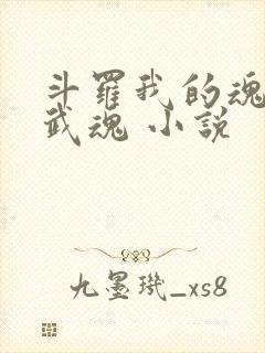 斗罗我的魂环是武魂 小说