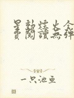 星动烟火全文免费阅读无弹窗封面