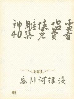 神雕侠侣电视剧40集免费看锦心似玉