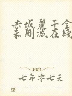 赤坂丽千金肉奴未删减在线观看