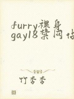 furry裸身gay18禁网站