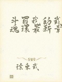 斗罗我的武魂是魂环最新章节