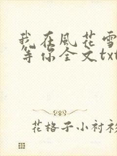我在风花雪月里等你全文txt下载