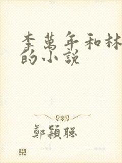 李万年和林婉仙的小说封面