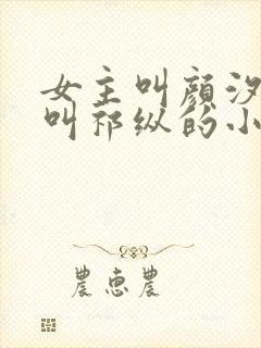 女主叫颜汐男主叫祁纵的小说名字封面