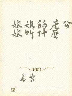 姐姐的老公的姐姐叫什么