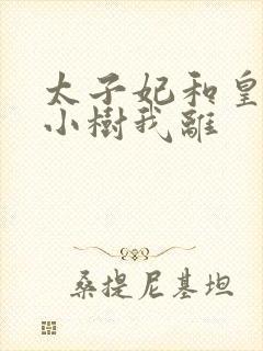 太子妃和皇上在小树我离