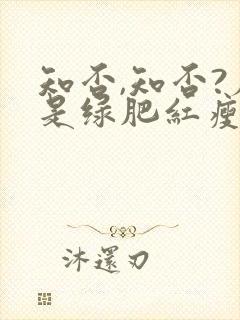 知否,知否?应是绿肥红瘦原著小说