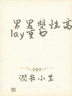 男男双性高hplay重口