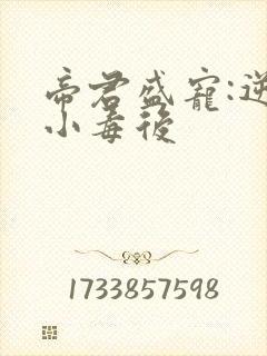 帝君盛宠:逆天小毒后