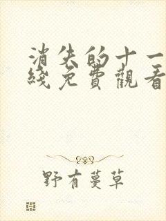 消失的十一层在线免费观看完整版