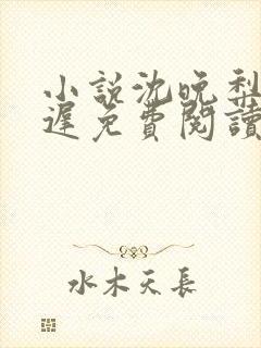 小说沈晚梨谢云迟免费阅读