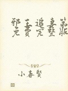 邪王追妻第三季免费完整版