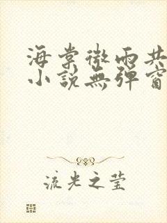 海棠微雨共归途小说无弹窗