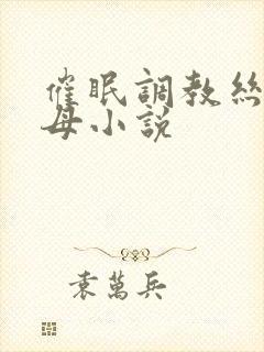 催眠调教丝袜美母小说