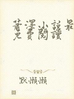 萧泽小说最新版免费阅读