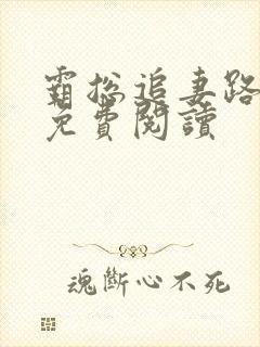 霸总追妻路漫漫免费阅读