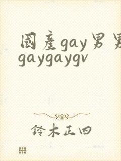 国产gay男男gaygaygv