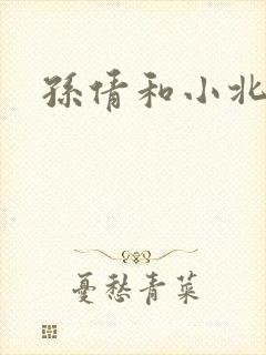 孙倩和小北封面