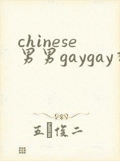 chinese男男gaygay视频