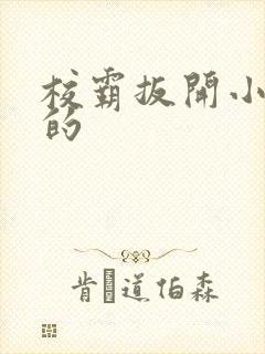 校霸扳开小班长的封面