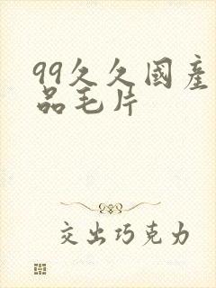 99久久国产精品毛片