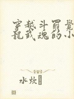 穿越斗罗觉醒赤龙武魂的小说