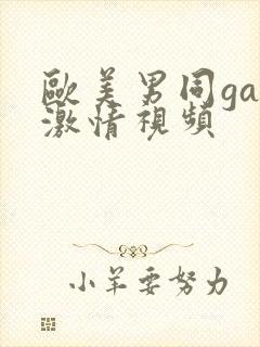 欧美男同gay激情视频