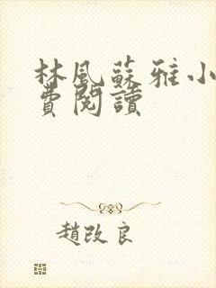 林风苏雅小说免费阅读封面