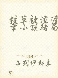 校草被浇灌的日常小说结局