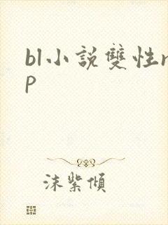 bl小说双性np