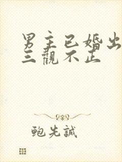 男主已婚出轨受三观不正