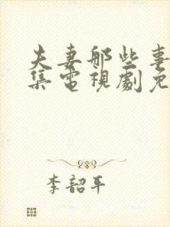 夫妻那些事40集电视剧免费播放封面