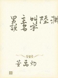 男主叫陆渊的小说名字封面