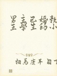 男主已婚教授女主学生的小说封面