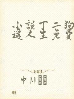 小说丁二狗的逍遥人生免费阅读