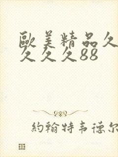 欧美精品久久久久久久88