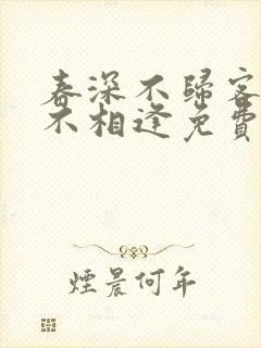 春深不归客清梦不相逢免费小说封面