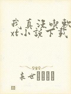 我真没吃软饭txt小说下载