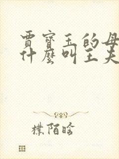 贾宝玉的母亲为什么叫王夫人