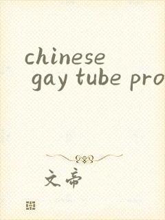 chinese gay tube pron