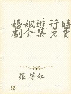 婚姻进行时电视剧全集免费观看