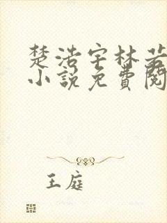 楚浩宇林若雪的小说免费阅读无弹窗