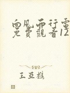 向风而行电视剧免费观看12集